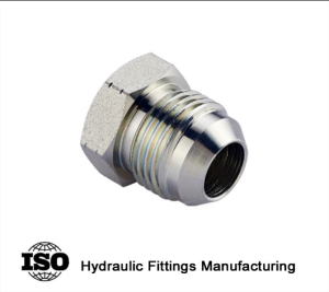 Pipe Plug